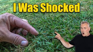 Summer Lawn Scalping SHOCKING Surprise [upl. by Acinnej]