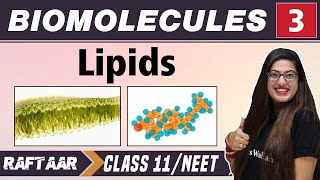 Biomolecules 03  Lipids  Class 11NEET  RAFTAAR [upl. by Nahoj]