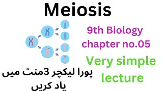 meiosis  9th class biology  9th [upl. by Urana378]