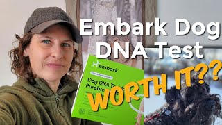 Embark Dog DNA test Worth It [upl. by Anaihr]