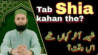 Shia tab kahan the  Where were Shia then Shiyon ne Maula Ali ka sath kyun nahi diya islam [upl. by Tomi]