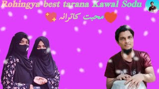 62024Rohingya best tarana Kawal Sodu official Tarana TV New Tarana 💖🌹 [upl. by Aisercal]