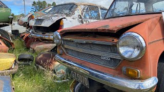 Vid3 2nd look at Horopito motors smash palace classic car scrapyard a hoarders heaven New Zealand [upl. by Lenaj]