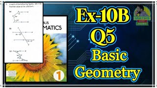 Q5  Ex 10B  D1  Basic Algebra  NSM 7th edition [upl. by Assenab]