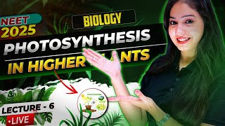 Aahvaan Batch  Photosynthesis In Higher Plants By JHA MAM  NEET 2025  Biology Class 11th [upl. by Ecela]