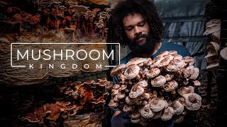 Cultivating Gourmet and Medicinal Mushrooms  PARAGRAPHIC [upl. by Sam]