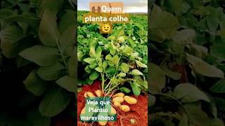 agro agricultura vida [upl. by Yrok563]