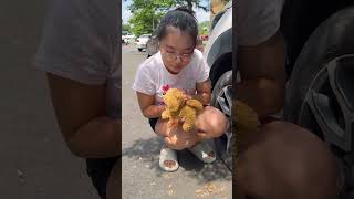 LNS  Giải cứu chó con dưới gầm ôtô  Rescue puppies from under car wheels shorts [upl. by Nahtiek]