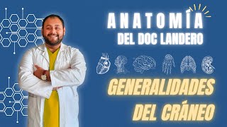 GENERALIDADES DEL CRÁNEO [upl. by Wordoow]