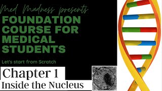 Genetics amp Biochemistry Basics  MM Foundation Course for Medical Students  Chapter 1 Nucleus [upl. by Cinimmod]