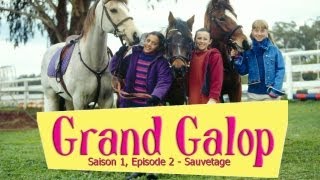 Grand Galop S1E2  Sauvetage [upl. by Steinberg]