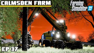 TRAIL OF DESTRUCTION  Calmsden Farm  Farming Simulator 22  Episode 37 [upl. by Helga]