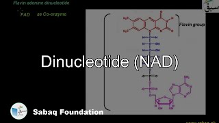 Dinucleotide NAD Biology Lecture  Sabaqpk [upl. by Yanel]