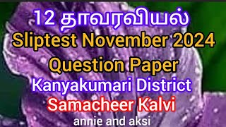 12th Botany tamil medium Slip test question paper november 2024 kanyakumari district samacheer [upl. by Adiari638]