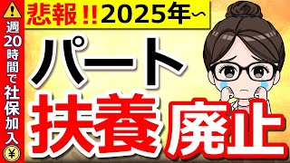 【2025年】年収106万円の壁が撤廃へ！パート主婦の手取り額はどう変わる⁉知らないと損する変更点を徹底解説！【106万円の壁】【130万円の壁】【社保加入】 [upl. by Merralee847]