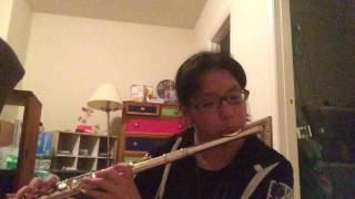 HIKARI AREHaikyuu 3rd Season Opening Theme On Flute [upl. by Libnah]