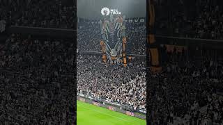 MOSAICO DA TORCIDA DO CORINTHIANS NO DÉRBI [upl. by Kcirdled]