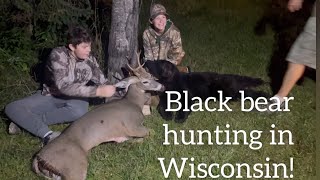 Black Bear and Whitetail takedowns in northern Wisconsin [upl. by Ocirne155]