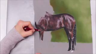 Horse Speeddrawing  Svea T Art [upl. by Vod]