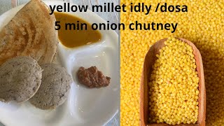 Whole millet idly dosa recipeThinai idly dosa Glutenfree idly with 5 min onion chutney recipe [upl. by Edlyn]