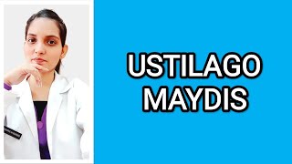 USTILAGO MAYDIS HOMOEOPATHIC MEDICINEEXPLAINED WITH BOERICKE MATERIA MEDICA DRDEEKSHA [upl. by Grevera177]