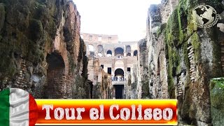 Tour Coliseosubterráneos y 3er nivel Colosseum underground and 3 level Roma 2013 [upl. by Skiba]