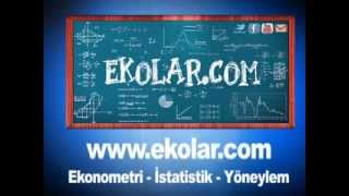 Ekonometri ve İstatistik Paket Programları Eviews Spss Excel Matlab R PomQm Stata Minitab [upl. by Anileuqcaj]