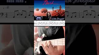 GEDDY LEE’s AMAZING Bass Solo in La Villa Strangiato 12 TEMPO tonyonbass rushbassline geddylee [upl. by Ysiad]