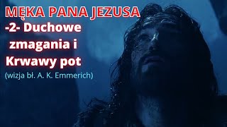 MĘKA PANA JEZUSA 2 Duchowe zmagania i Krwawy pot wizja bł A K Emmerich [upl. by Naliorf73]