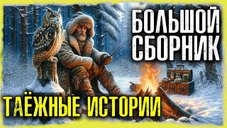 ТАЙНЫ ТАЙГИ Таёжных Историй  Страшные Истории На Ночь [upl. by Artcele]