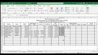 Cómo trabajar una Planilla de Salarios Mensual [upl. by Ranna]