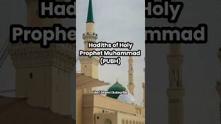 Beautiful Hadiths of Prophet MuhammadPUBH youtube islamic islam prophetmuhammad PUBH shorts [upl. by Stefania808]