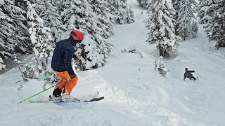 Vail Northwoods And Sourdough Ski Colorado 1282023 [upl. by Euseibbob]