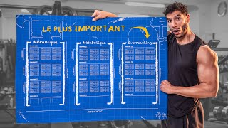 Comment créer son programme de musculation débutants [upl. by Alanson]