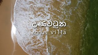 Unawatunaඋණවටුන  Jungle Beach  Agnus Unawatuna  Sri lanka [upl. by Lindie]