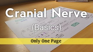 Cranial Nerve  Basics  Sensory Motor and Mixed Cranial Nerve  TCML [upl. by Elleirua]