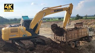 จนปัญญาแล้วครับ 🚛🚛🚛 รถแบคโฮ KOBELCO SK20010 SM เหลืองพิเศษ ขุดดินมันเป็นทางของเขา หน้างานติดหล่มเละ [upl. by Maccarone572]