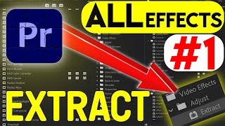 EXTRACTAdjustVideoEffects ALL amp EVERY Effect in Adobe Premiere Pro 2023 ExplainedEp1UrduHindi [upl. by Casanova47]