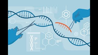 Genetics Lecture 27  Immunogenetics [upl. by Borek692]