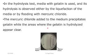 Gelatinase hydrolysis Test [upl. by Llekcir]