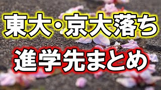 【超リアル】東大・京大に落ちた受験生の進学先を本気でまとめてみた [upl. by Hescock]