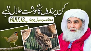 Kin Parindon Ka Ghosht Khana Halal Hai Part12  Shikar Karne Wale Parinday Maulana Ilyas Qadri [upl. by Lewiss]