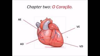 Monitoria  Radiologia Mediastino Módulo 02 Part 01 [upl. by Airdnekal]