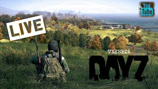 STARY ACTION I DayZ Chernarus MULTISTREAM HUN PVPLOOT [upl. by Nyrrad]