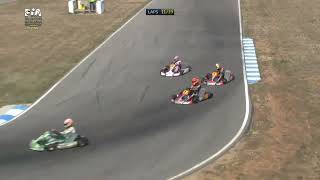 Max Verstappen Karting 2013  CIK FIA EUROPEAN CHAMPIONSHIP ROUND2 KF FINAL Ortona [upl. by Ecinehs396]