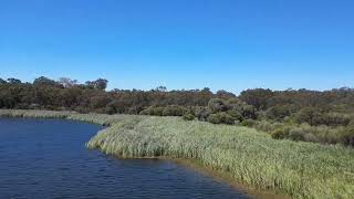 Areal shots  Karrinyup Reserve  Western Australia 🇦🇺  Dji [upl. by Benni]