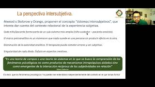 Psicoanálisis Relacional Intersubjetivo R Stolorow amp G Atwood [upl. by Alleyn]