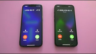 Apple iPhone 13 vs 13 Pro Incoming Call [upl. by Nylassej]