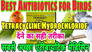 Tetracycline Hydrochoride Vet for birds  Tetracycline hydrochloride water soluble vet [upl. by Pittel]