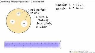 Culturing Microorganisms Calculations for AQA GCSE Biology for Triple Science [upl. by Joyan]